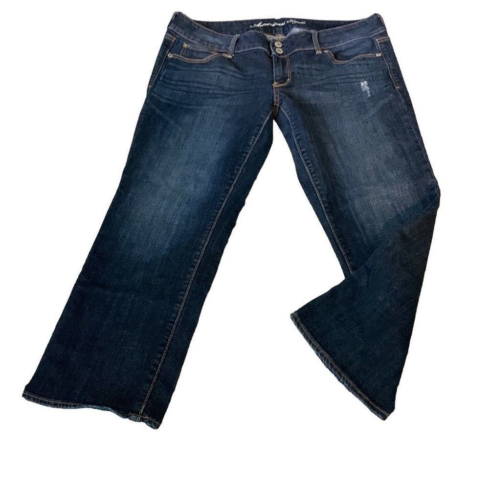 American Eagle 14 Dark Wash Mid Rise Artist Crop Jeans